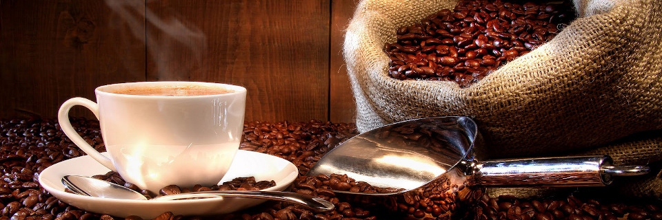 Organo Gold en France - Café Organo Gold
